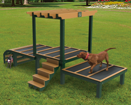 Paws 'N Play