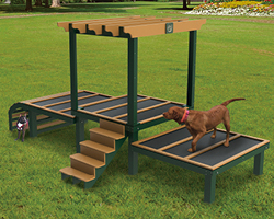 Dog Play Products
