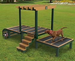 Dog Play Products